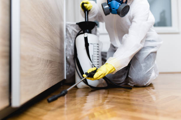 Best Pest Prevention Services  in Centreville, MD