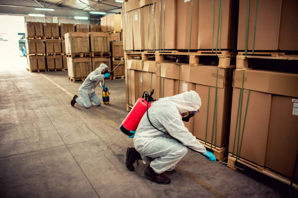 Best Pest Control for Homes  in Centreville, MD