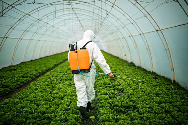 Best Affordable Pest Control Services  in Centreville, MD