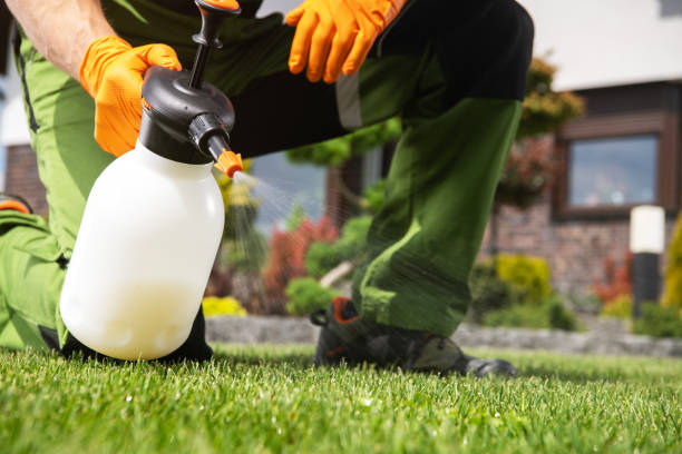 Best Mosquito Control Services  in Centreville, MD
