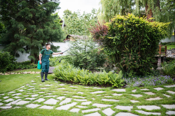 Best Pest Removal Services  in Centreville, MD