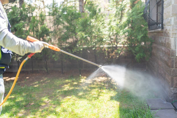Flea Control Services in Centreville, MD